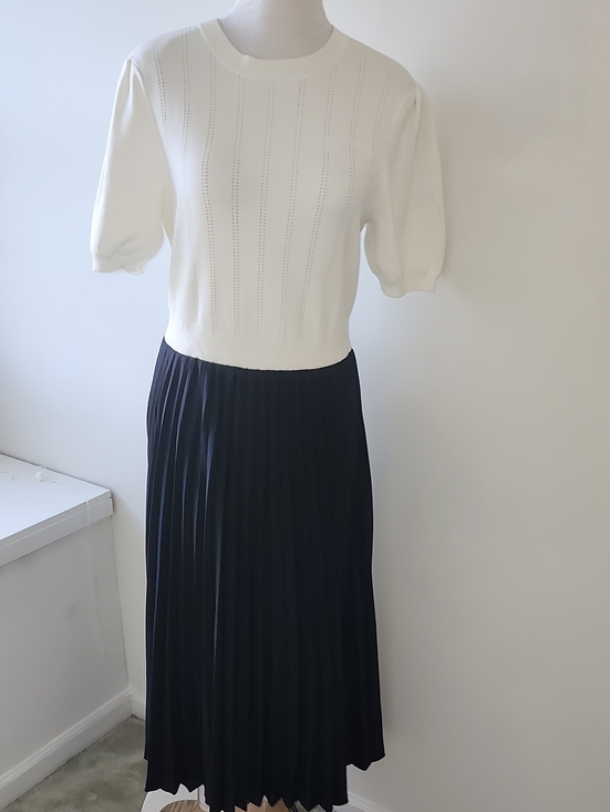 Ted Baker London Dresses & Skirts - Ted Baker Navy & White Pleated Midi Dress Size 10 Office Minimalist